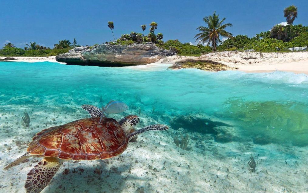 Cozumel